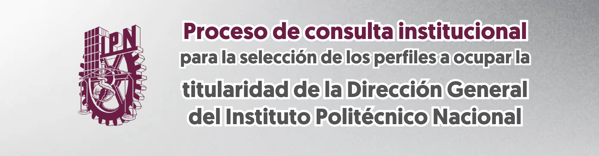 Proceso de consulta