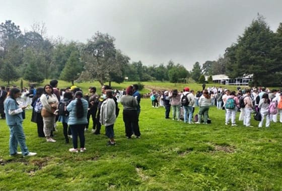 Simulacro sismo sep 2025