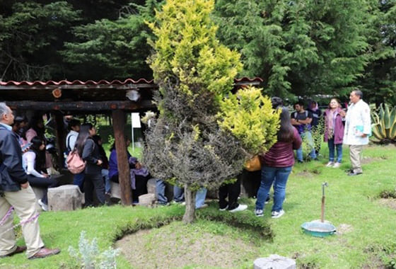 imagen jardín 1