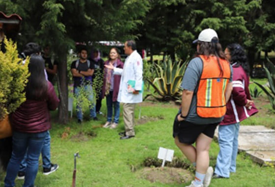 imagen jardín 2