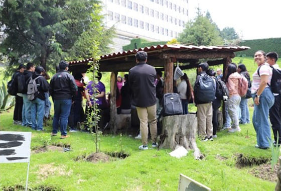 imagen jardín 3