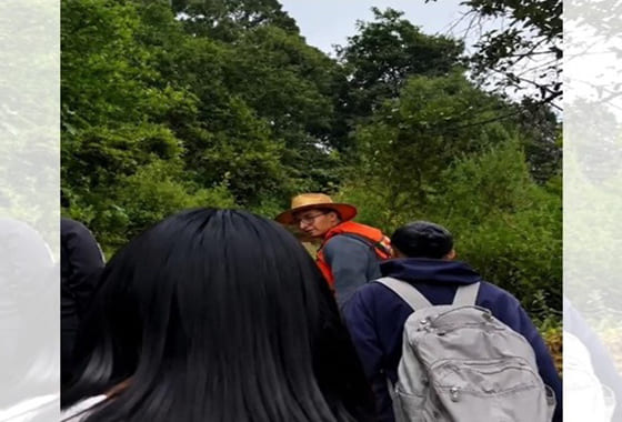 imagen volcán 1