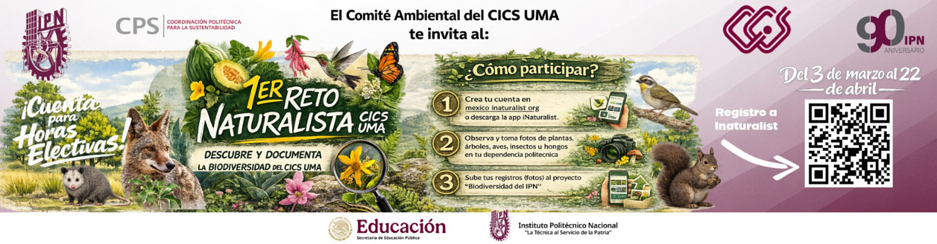 1er reto naturalista